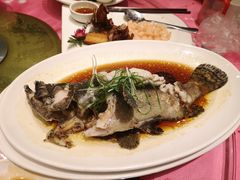 -金时代顺风大酒店(协泰店)