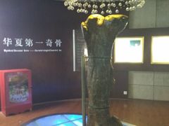 -诸城市恐龙博物馆