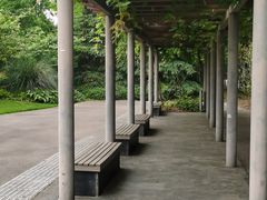 -上海滨江森林公园