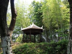 -八大山人梅湖景区