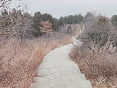 -北京西山国家森林公园