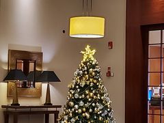 -上海明天广场JW万豪酒店