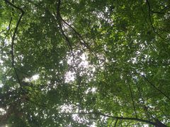 -杭州植物园