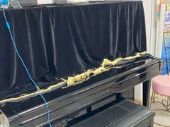 -梅纳·钢琴声乐架子鼓Mena Music(双井店)