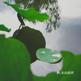 我心中的言叶之庭