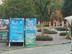 -合肥滨湖国家森林公园