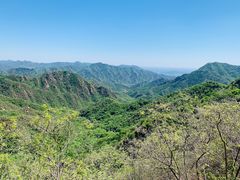 -大岭沟猕猴桃谷风景区