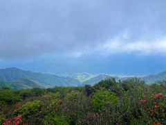 -大围山国家森林公园