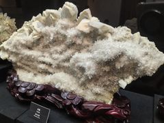 -烟台自然博物馆