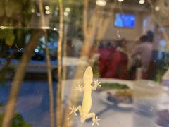 -四海之家(蛇口店)