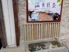 -裕龙汤泉