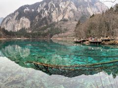 -如意林卡藏餐吧 (九寨沟店)