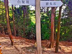 -火炉山森林公园