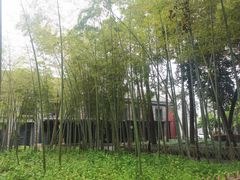 -浙江大学(玉泉校区)