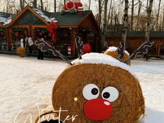 -禧宴Joyous Restaurant(禧园店)