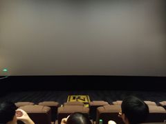 -华谊兄弟影院(北京洋桥店)