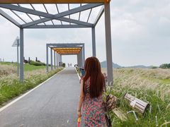 -光明小镇欢乐田园