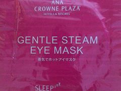 -京都全日空皇冠假日酒店