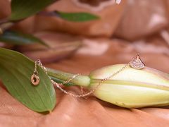 -三月居酒屋(青年大街店)