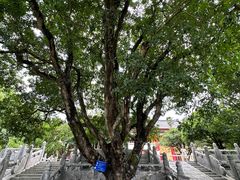 -桂林独秀峰王城景区
