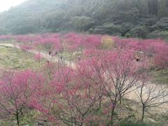 -福清灵石山国家森林公园