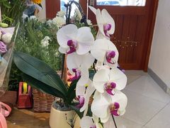 -花屿鲜花(淡水店)