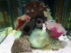 -太平洋海底世界