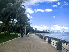 -深圳湾公园(南山区)
