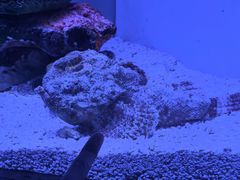 -上海海洋水族馆