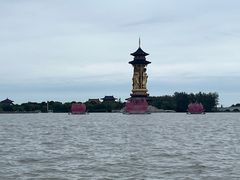 -溱湖国家湿地公园