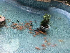 -黑龙江中医药大学附属第一医院