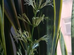 -老油饼酸菜汤(高铁和平店)