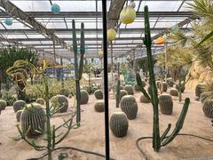 -南宫五洲植物乐园