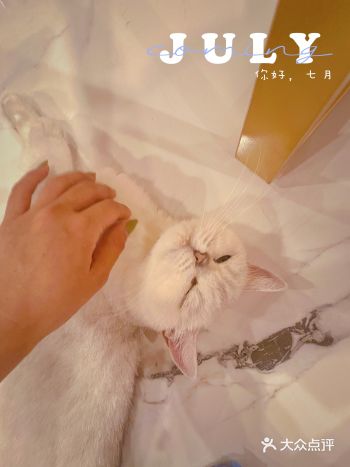 宠物 | 天津乖乖宠物医院24小时