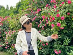 -同里国家湿地公园