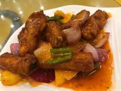 -鸿达渔港