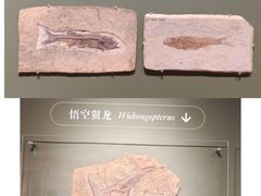 -遇见博物馆(遇见海洋沉浸式奇幻光影展)