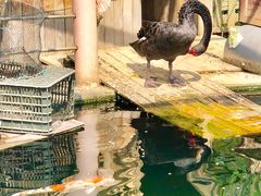 -湖鲜楼