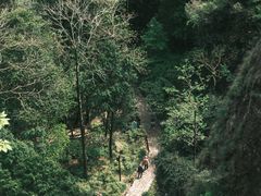 -雁荡山三折瀑景区
