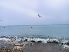 -大连金石滩滨海国家地质公园