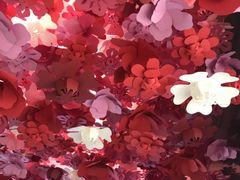 -新世界百货(明洞总店)