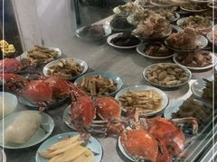 -大树下饭店(春晓镇慈岙社区卫生服务站南)