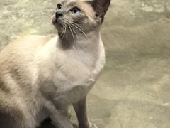 -MIKAKU(万达广场上海宝山店)