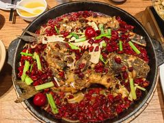 -老板恋上鱼(恒隆广场店)