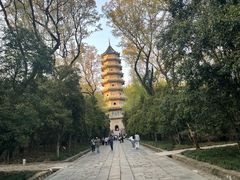 -灵谷景区