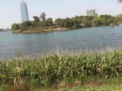 -桐乡凤凰湖