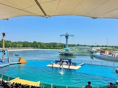 -秦皇岛乐岛海洋王国