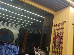 -谜盒子奇幻密室(南屏店)