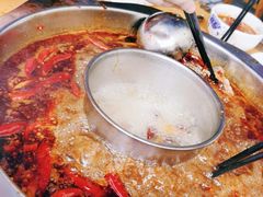 -金鼎雪山牦牛杂火锅(理县总店)