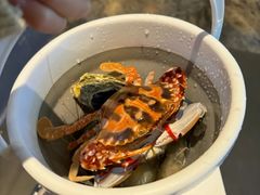 -渔纬港海鲜自助餐厅(湖里万达店)